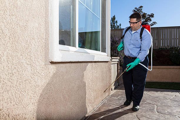 Best Commercial Pest Control  in Alamosa East, CO